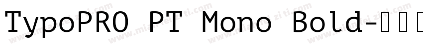 TypoPRO PT Mono Bold字体转换